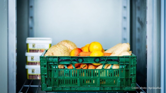 Un casier en plastique vert rempli de légumes racines (panais, carottes, céleri-rave) et de fruits (pommes, citrons) est placé sur une étagère à l'intérieur d'un réfrigérateur, pour les box repas Cookingo.